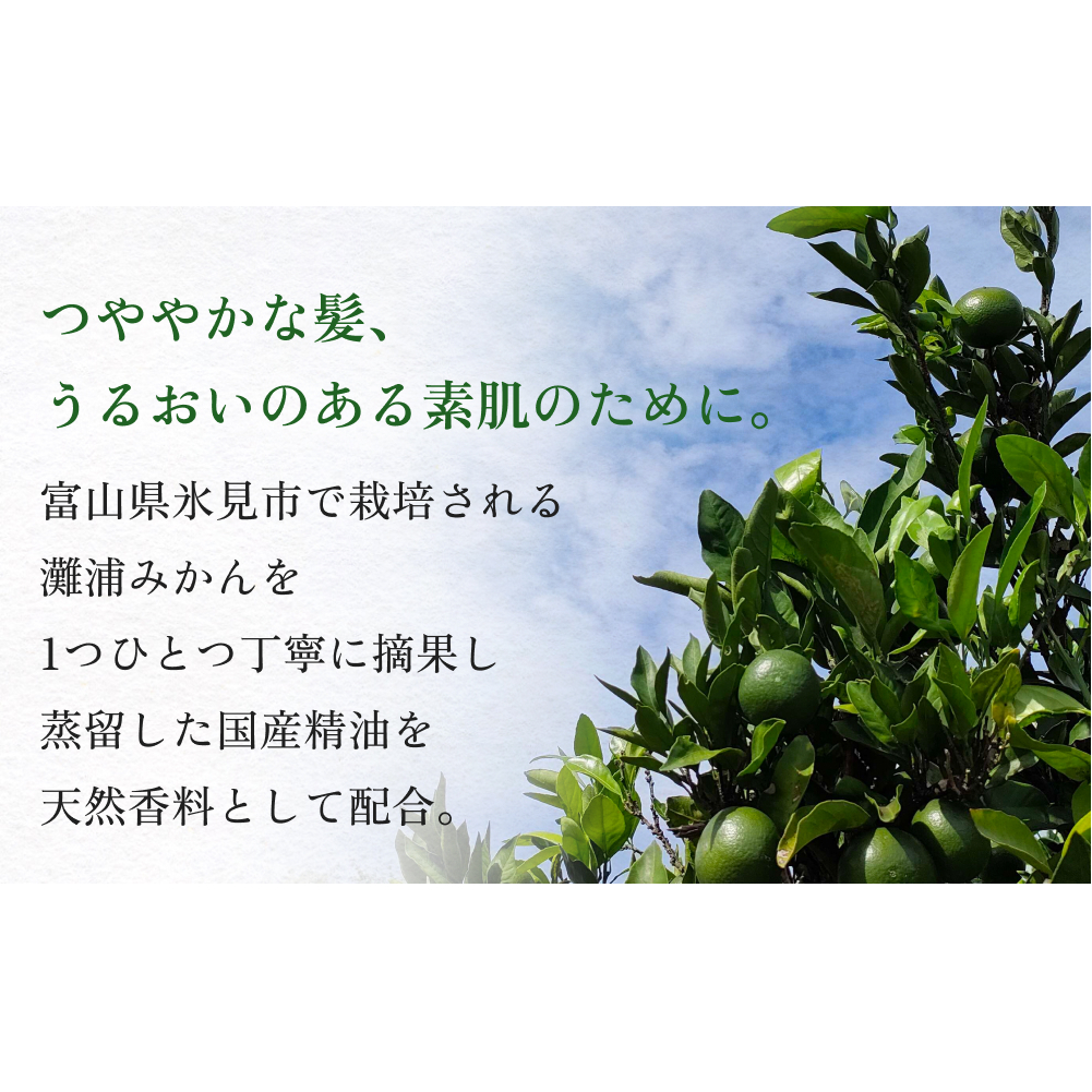 de R  灘浦みかん　Hair ＆ Skin Oil 30ml（de R 001オイル 灘浦みかんの香り ヘア＆スキンオイル） 富山県 氷見市 ヘアオイル スキンオイル 美容 みかん 柑橘_イメージ