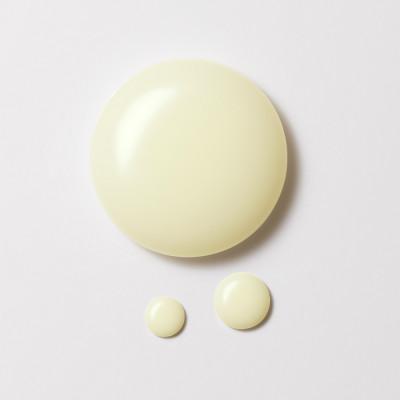 ふるさと納税 益城町 ドモホルンリンクル 美活肌エキス(ドモホルンリンクル 薬用美容液c) |  | 01