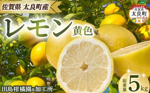 田島柑橘園&加工所のレモン(黄色)5kg　レモン れもん 檸檬 フルーツ 果物 柑橘 グリーン 果汁 酸味 ビタミン 健康 国産 減農薬栽培 佐賀県 太良町 ND20