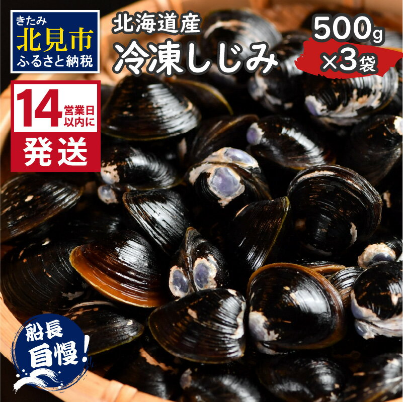 《14営業日以内に発送》サロマ湖産 冷凍しじみ 500g×3袋 ( 魚介類 貝類 しじみ シジミ 1.5キロ 冷凍 サロマ湖 カルシウム ビタミンB12 タウリン 鉄分 味噌汁 )
