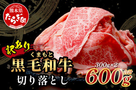 【訳あり】くまもと黒毛和牛 切り落とし 600g 本場 熊本県 黒毛 和牛 ブランド 牛 肉 上質 くまもと 訳アリ 小分け 冷凍 すき焼き しゃぶしゃぶ 113-0552