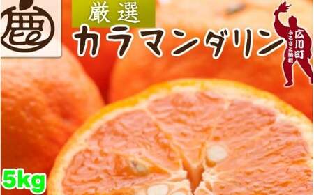 カラマンダリン 5kg+250g（痛み補償分） 厳選 / カラ カラオレンジ カラみかん 南津海 なつみ 高級 和歌山 有田 柑橘 晩柑 ※4月上旬～5月順次発送 ※北海道・沖縄・離島への配送不可 【ikd015-p-5B】