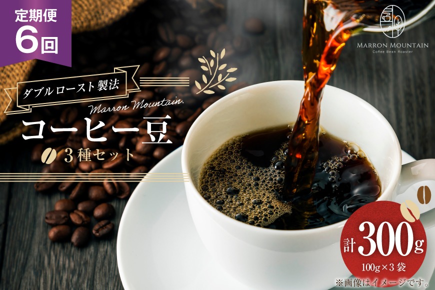 定期便 6回 コーヒー豆 3種セット 100g×3袋 [MARRON MOUNTAIN 埼玉県 小川町 307] 珈琲 ドリップ ダブルロースト製法 フルシティロースト