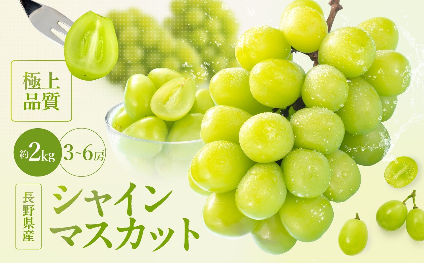 
            【2026年先行予約】 南信州産 シャインマスカット 秀品 約2kg (3～6房)＜2026年9月中旬～順次発送＞ ＪＡみなみ信州ＤＭセンター飯田市 | シャインマスカット ぶどう マスカット フルーツ 果物 ブドウ 葡萄 南信州 送料無料 ふるさと納税 長野県 飯田市
          