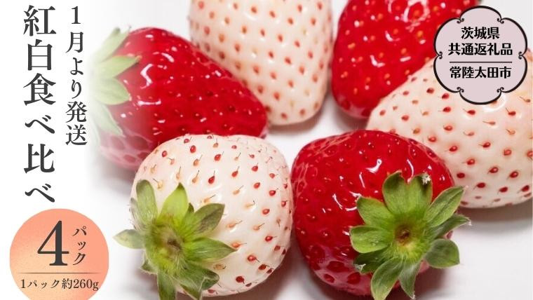 
            【 2026年 先行予約 】紅白 食べ比べセット いちご（ 4パック × 1箱 ) （茨城県共通返礼品／常陸太田市） 2026年1月上旬発送開始 フルーツ 苺 イチゴ いちご 新鮮 朝採れ 茨城県 桧山FRUITFARM [DY018sa]
          