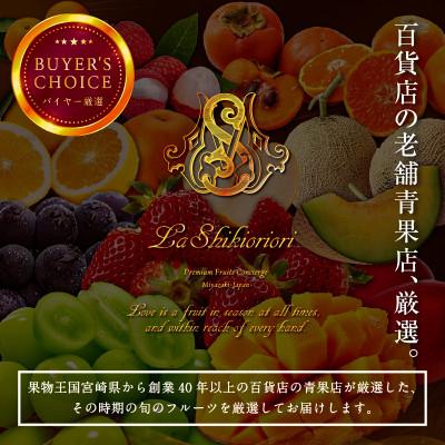 ふるさと納税 宮崎市 【発送月固定定期便】宮崎の旬なくだものをお届け!厳選くだもの定期便全6回 |  | 02