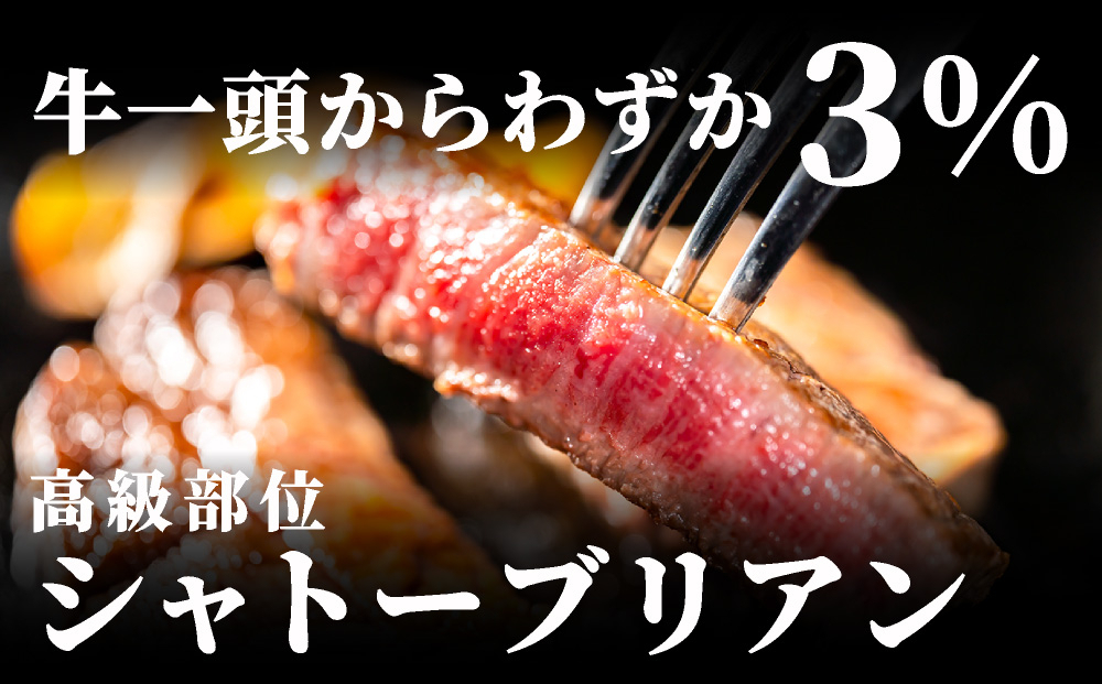 ＜3回定期便＞【博多和牛】ヒレ シャトーブリアン 200g×5枚 (ダイヤモンドカットで希少部位を堪能)｜牛肉 久田精肉店 黒毛和牛 ステーキ 冷凍【HD046】