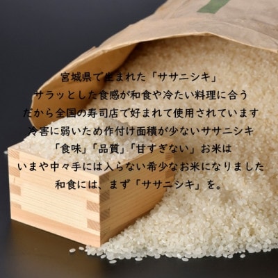 令和7年産 ササニシキ 精米10kg(5kg×2) 宮城県産