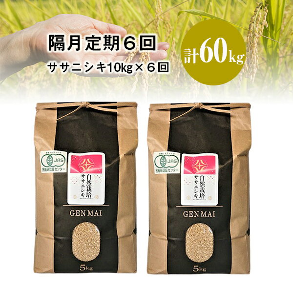 【ふるさと納税】《 新米先行予約 》隔月 定期便 6回 令和7年産 新米 自然栽培米 ササニシキ 10kg (5kg×2) 選べる 玄米 精米 お米 ご飯 米 岩手県 一関市
