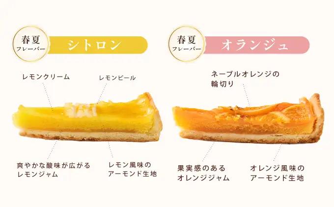 【アンリ・シャルパンティエ】タルト・フリュイ・アソート L （秋冬）（西宮市・芦屋市共通返礼品）