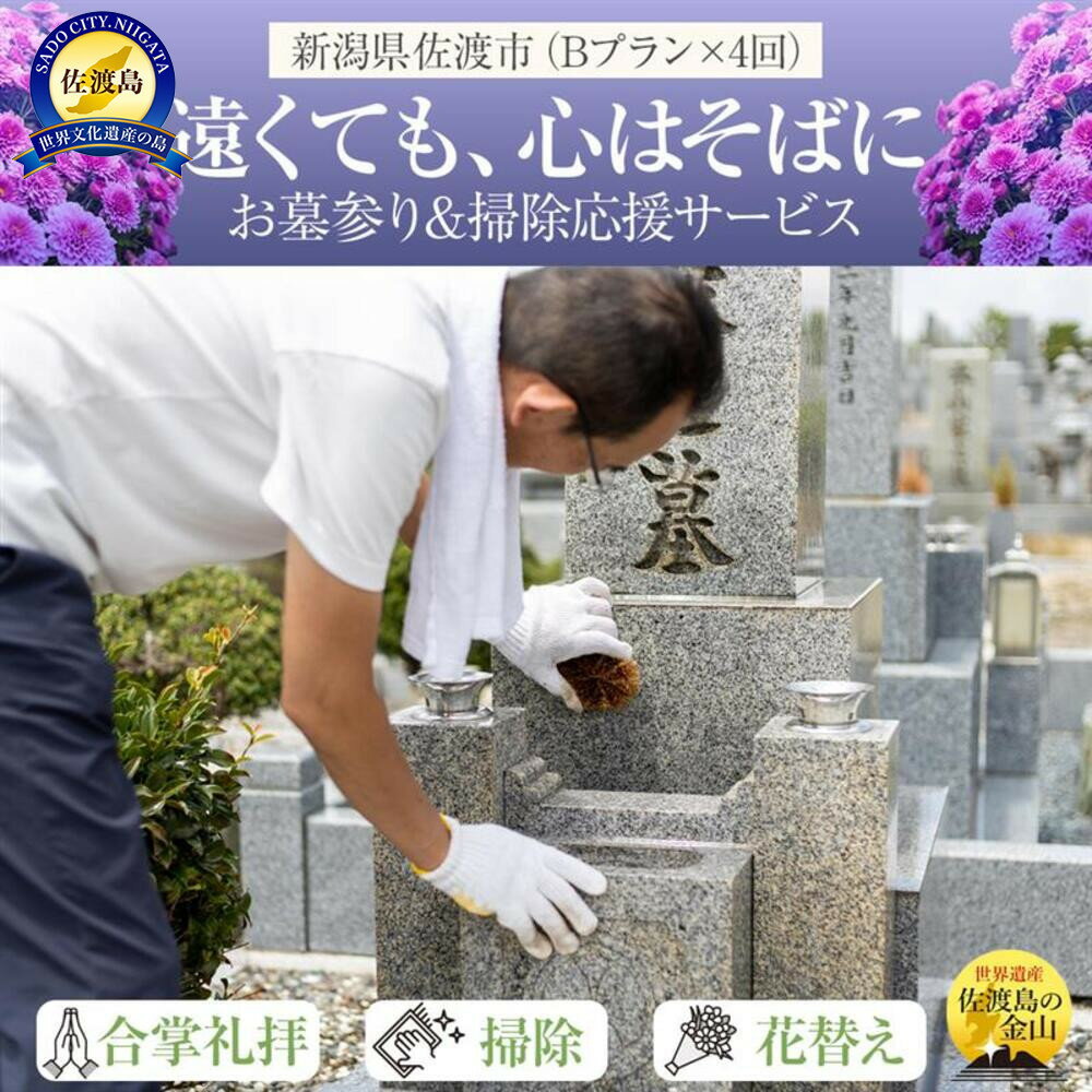 【ふるさと納税】【新潟県佐渡】佐渡島内　お墓参りプランBを年4回　応援サービス　合掌拝礼・花替え・墓石水洗い・簡易除草・タクシー送迎（5,000円まで年1回付き）　「遠くても、心はそばに」