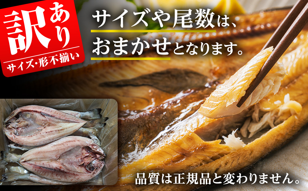 【訳あり】おまかせ真ほっけ1kg(サイズ・形不揃い)【配送不可地域：離島・沖縄県】