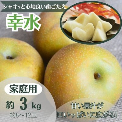 
            梨　幸水 約3kg 家庭用(8～12玉)【1495970】
          