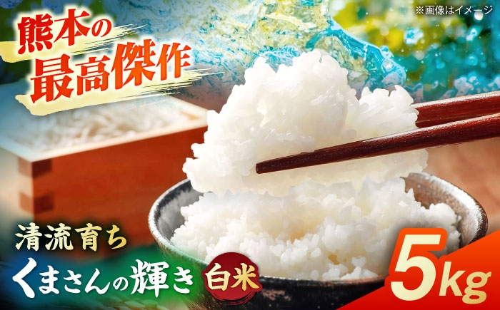 
                  【先行予約】くまさんの輝き 5kg 白米 山鹿市産【奥村果実園】 [ZFK016]
                