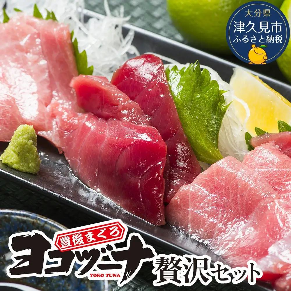 本マグロ ヨコヅーナ贅沢セット | 本マグロ 津久見市