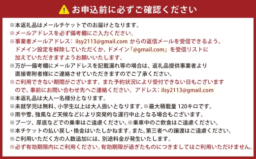 【 心の潮が満ちるまで。人力車で巡る、素敵な太良時間 】 【 お一人様用 】 人力車プラン （ 多良駅前～海中鳥居間の往復3km程度 ） メールチケット 体験チケット 体験券 体験 旅行 旅 観光 絶