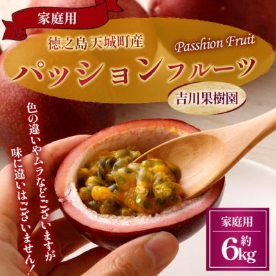 ふるさと納税 天城町 【2026年発送】徳之島 天城町 吉川果樹園 パッションフルーツ 家庭用 6kg トロピカルフルーツ
