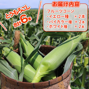 【2027年先行予約】とうもろこし 3種食べ比べ 6本 (イエロー バイカラー ホワイト) とうもろこし フルーツコーン