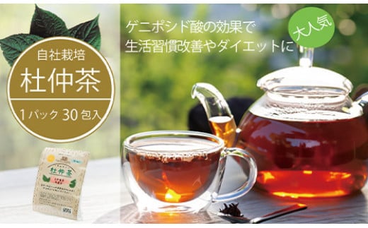 
            黒姫和漢薬研究所「自社栽培 杜仲茶30包」2箱セット/4箱セット ダイエットの味方「ゲニポシド酸」をダブル焙煎茶で飲みやすく【長野県信濃町ふるさと納税】
          