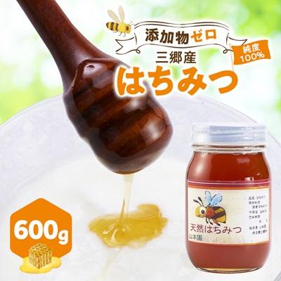 ふるさと納税 三郷市 三郷産はちみつ