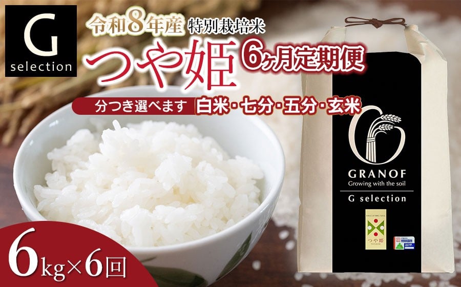 
                  【令和8年産先行予約】【定期便6ヶ月】 特別栽培米 Gセレクション つや姫 精米 6kg (6kg×1袋)×6ヶ月 つき加減(精米加減)が選べる（玄米・五分づき・七分づき・白米）　山形県鶴岡市産　株式会社グラノフ
                