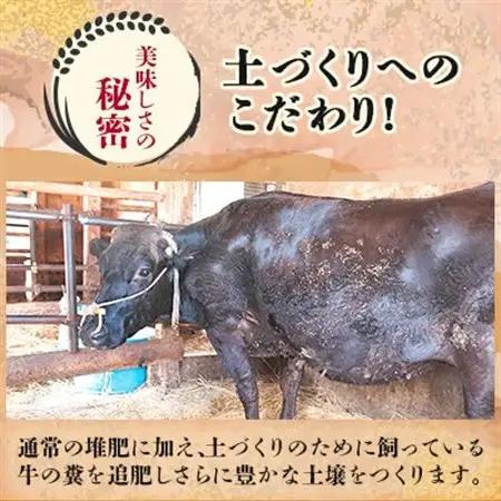 【令和7年産】山形県産 特別栽培米 つや姫 精米 30kg(10kg×3) なおちゃんファームのお米【1707058】