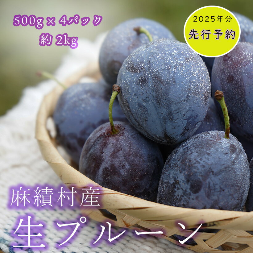 【ふるさと納税】【2025年 先行予約】生プルーン 約 2kg 500g ×4パック フルーツ 果物 プルーン 産地直送 予約 麻績村 新返礼品 令和7年 収穫分 9月発送 9月上旬受付まで