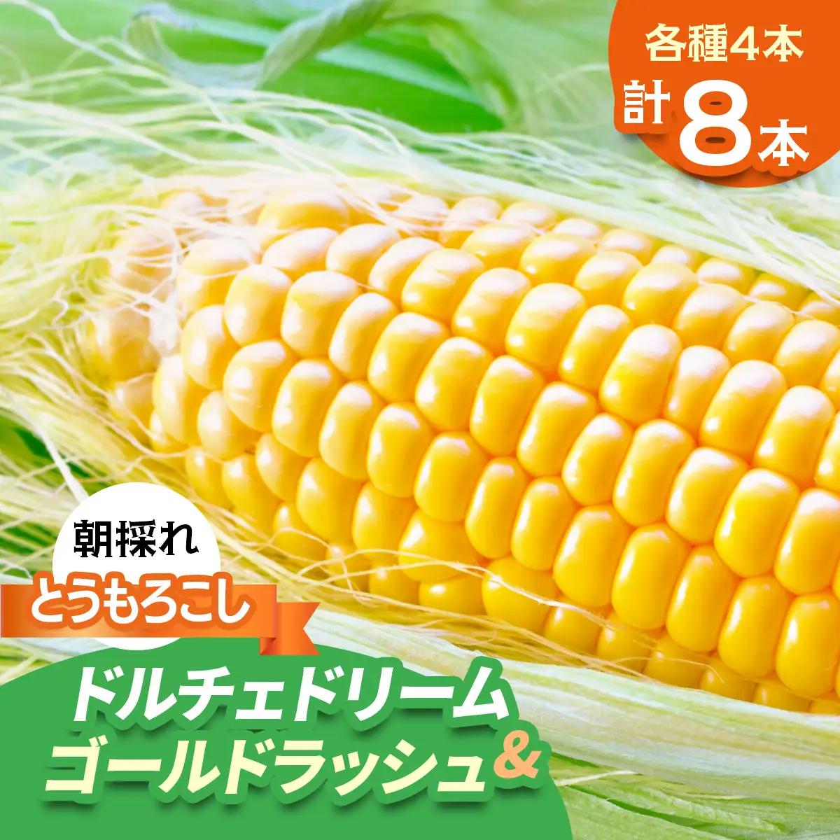 [期間限定]朝採れ とうもろこし ドルチェドリーム＆ゴールドラッシュ 平安山農園【6月発送】  [0732]