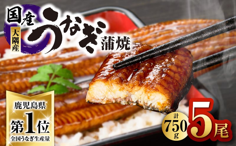 
            1633 鹿児島県大隅産うなぎ蒲焼5尾（750g）　KN007-005-01
          