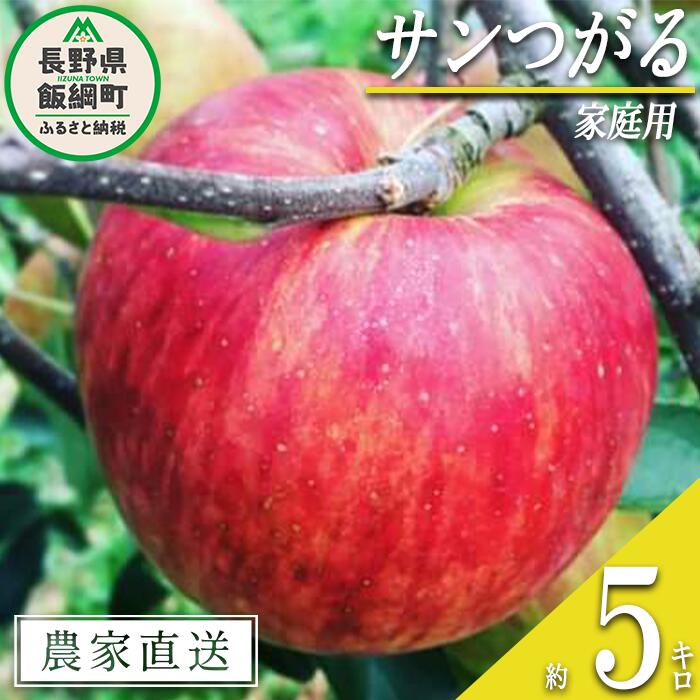 【ふるさと納税】 りんご サンつがる 家庭用 5kg 中村ファーム 沖縄県への配送不可 令和7年度収穫分 長野県 飯綱町 〔 信州 果物 フルーツ リンゴ 林檎 長野 11000円 予約 農家直送 〕発送時期：2025年9月上旬〜2025年9月中旬