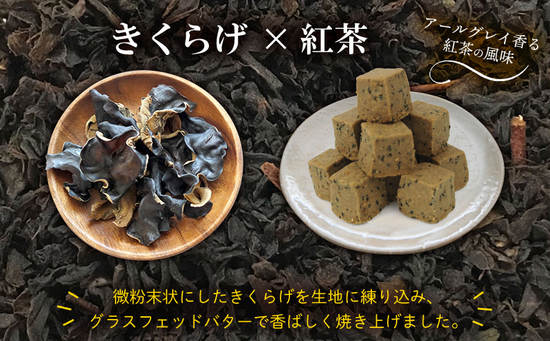 きくらげ小町 グラスフェッドバタークッキー紅茶(アールグレイ)【55g×4袋】 バタークッキー クッキー バター おやつ お菓子 焼き菓子 紅茶 アールグレイ キクラゲ きくらげ 木耳 きくらげ小町 