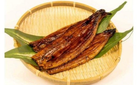 うなぎ 蒲焼き 4尾 中国産 鰻 蒲焼 ひつまぶし うな重 うな丼 静岡 まるが水産（ うなぎ 鰻 うなぎ蒲焼 鰻国産 うなぎ 鰻セット うなぎタレ付き 鰻深蒸し うなぎ 丑の日 うなぎ 鰻 うなぎ 