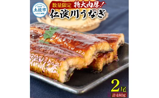 【数量限定】仁淀川特大肉厚うなぎ2尾セット タレ付き うなぎ 鰻 ウナギ 国産 蒲焼き かば焼き 1尾200g超え 仁淀川 太化うなぎ おいしい 人気 冷凍 真空パック 夏