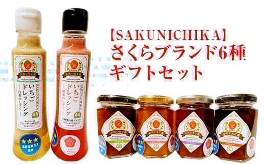 
            【SAKUNICHIKA】さくらブランド6種ギフトセット｜とちあいか とちおとめ スカイベリー ミルキーベリー 栃木県 さくら市 イチゴ 苺
          