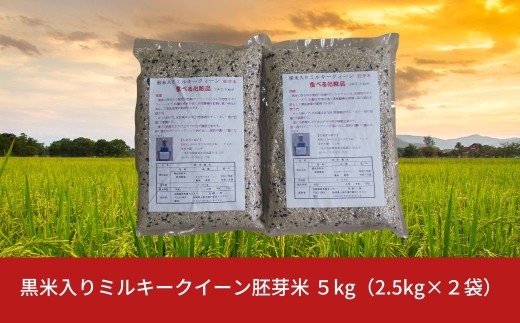 黒米入りミルキークイーン胚芽米 ５kg（2.5kg×２袋） 朝紫 令和７年産  [佐藤農産有機センター]【015S179】