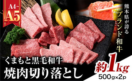 くまもと黒毛和牛 焼肉切り落とし 約1kg 黒毛和牛 MEAT PLUS