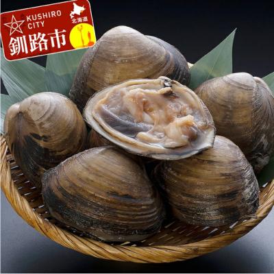 ふるさと納税 釧路市 【天然!!!】活北寄貝4.0kg前後 ふるさと納税 ホッキ 北寄 F4F-0398