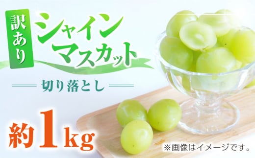 【先行予約】 訳あり シャインマスカット 切り落とし 約1kg ブドウ 葡萄 ぶどう おすすめ 国産 熊本県 山鹿 果物 くだもの フルーツ わけあり 人気 ブランド 特産品 種類 産地 九州 食品 季節 評価 レビュー 送料無料 【合同会社 社方園】[ZBZ006]
