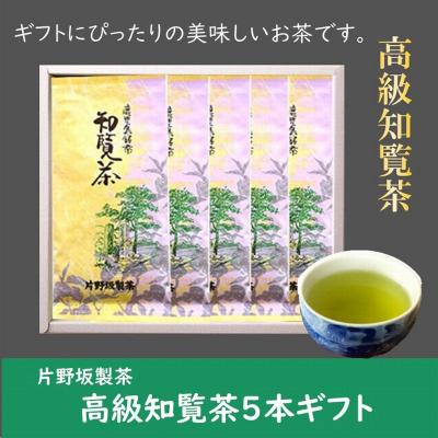 ふるさと納税 南九州市 片野坂製茶の特選知覧茶5本ギフト