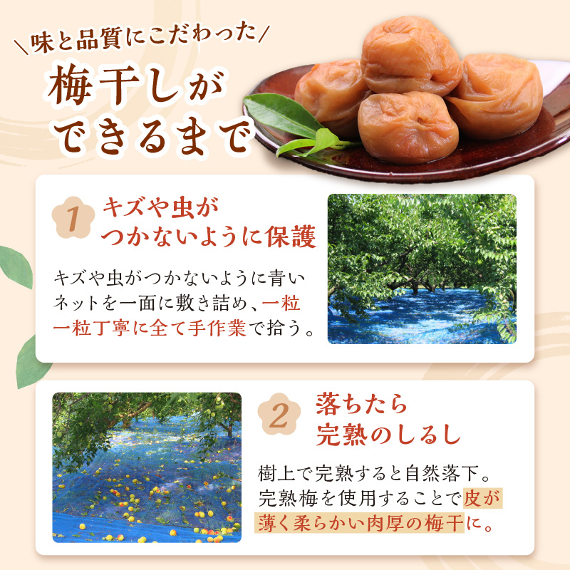 紀州南高梅使用 はちみつ梅(塩分8%) 1.5kg（和歌山県産）