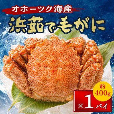 ふるさと納税 北見市 オホーツク海産　浜茹で毛がに　約400g×1パイ