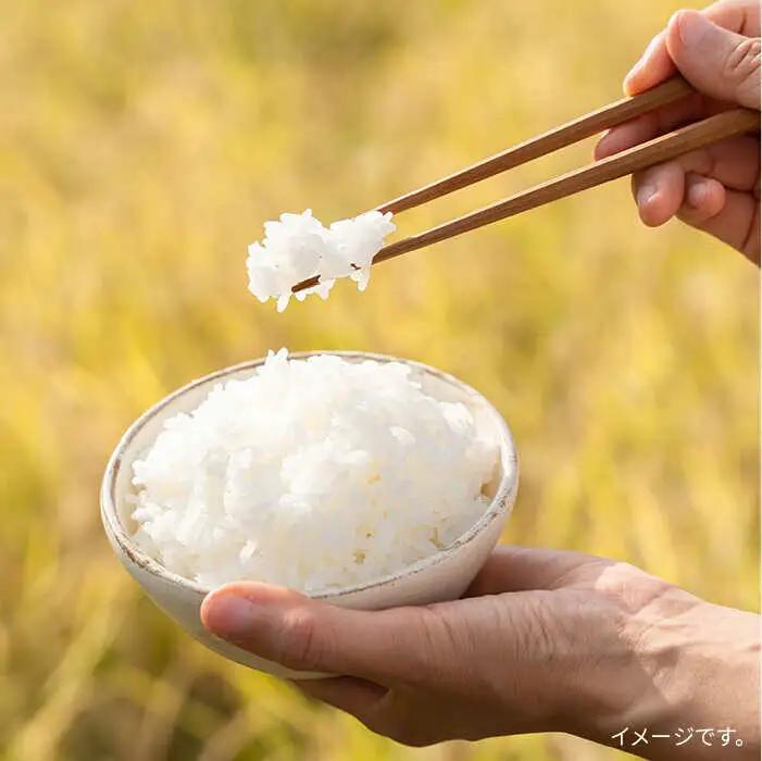 【 6回 定期便 】 とくべつ の中の とくべつ 糸島 特別栽培米 5kg （ 夢つくし ）《 糸島 》【株式会社やました】 [ARJ007]