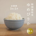 【ふるさと納税】≪定期便3ヶ月≫ ゆめぴりか 特別栽培米 5kg×3回 減農薬 低農薬 特A米 特A こめ 米 精米 当麻町 舟山農産 北海道産 北海道米 送料無料 お取り寄せ