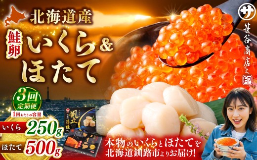 【3ヶ月定期便】 笹谷商店 新物 北海道産 いくら醤油漬け250g＆ほたて貝柱500g お刺身 国産 イクラ イクラ醤油漬け 鮭いくら 鮭卵 ほたて貝柱 帆立 ホタテ ほたて 海鮮丼 詰め合わせ 海鮮