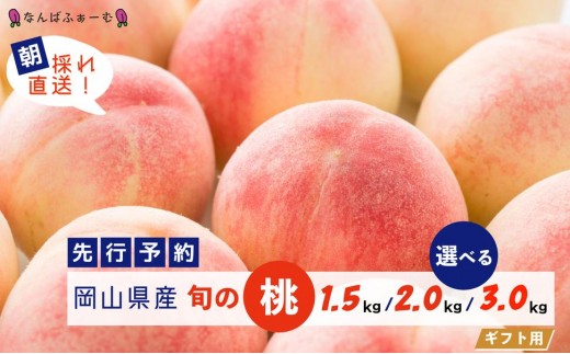 
            ＜選べる容量＞＜数量限定＞［なんばふぁーむ］岡山県産 旬の桃［ギフト用］1.5kg（4～6玉）or 2.0kg（6～9玉）or 3.0kg（9～13玉）【2025年発送】
          