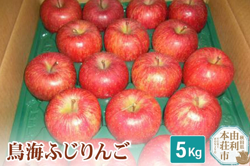 
                  《先行受付》鳥海ふじりんご 5kg 農家直送 林檎 リンゴ [農家直送 りんご 林檎 リンゴ アップル 果物 フルーツ]
                