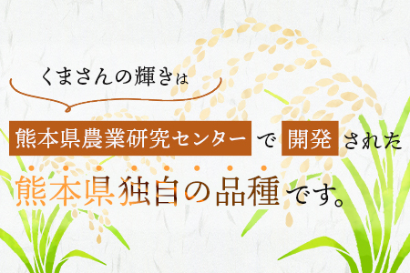 【定期便 ３回】多良木町産 『くまさんの輝き』 10kg×3回 計30kg【 定期便 定期配送 精米 お米 米 艶 粘り 甘み うま味 もちもち 熊本のお米 10kgずつ 30キロ 熊本県 多良木町 