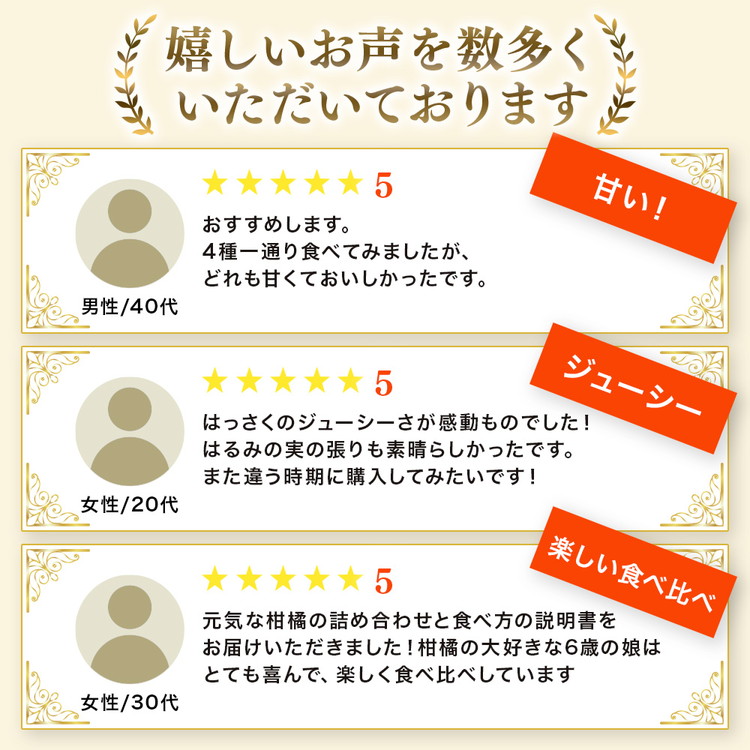 ＜1月より発送＞家庭用 柑橘詰合せ1kg+250g（傷み補償分）◇【訳あり・わけあり】【有田の春みかん詰め合わせ・フルーツ詰め合せ・オレンジつめあわせ】【光センサー選別】 ※北海道・沖縄・離島への配送