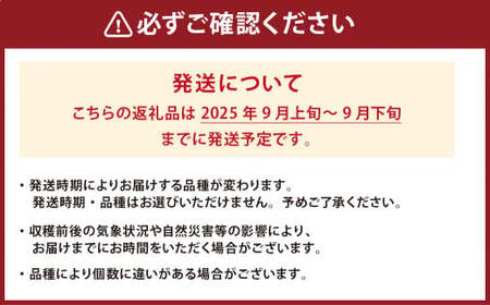 九重産 3L以上 梨 約5kg （二十世紀、あきづきのうちいずれか一種）【2025年9月発送予定】