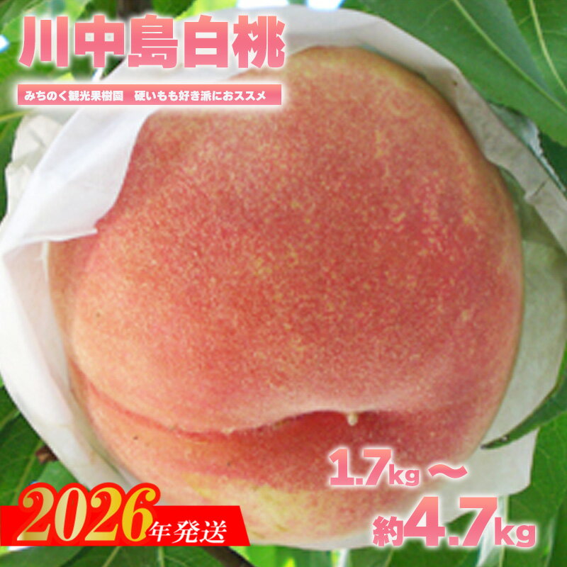 【ふるさと納税】もも「川中島白桃」贈答用　約1.7kg 約2.7kg 約4.7kg【2026年発送　先行予約】